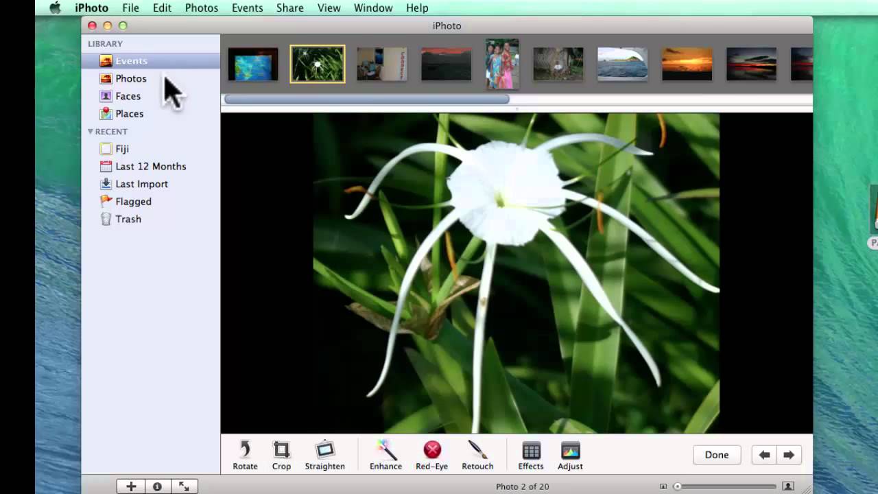 Move From Iphoto To Picasa For Mac